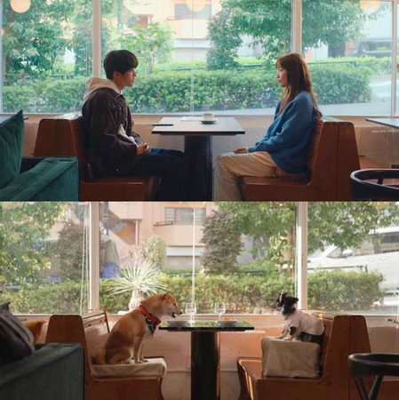 Tokyo Inu Dog Love Story Токийская собачья история любви япония дорамы