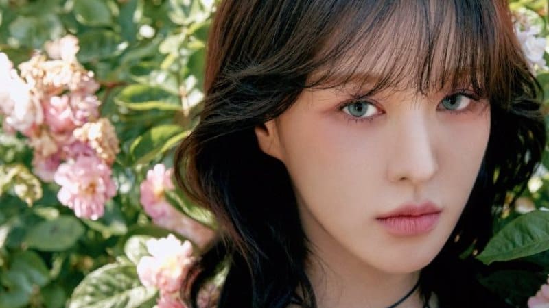 венди 웬디 red velvet wendy wish you hell венди 웬디 red velvet wendy wish you hell