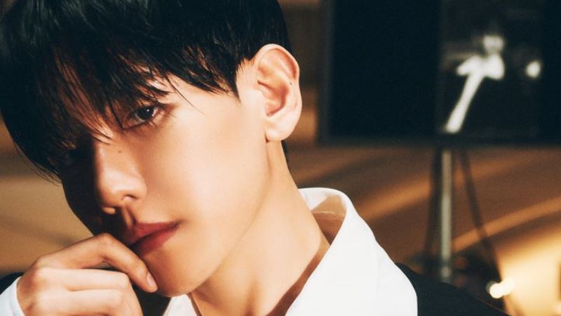 Бэкхён EXO 백현 BAEKHYUN Hello World Pineapple Slice Бэкхён EXO 백현 BAEKHYUN Hello World Pineapple Slice