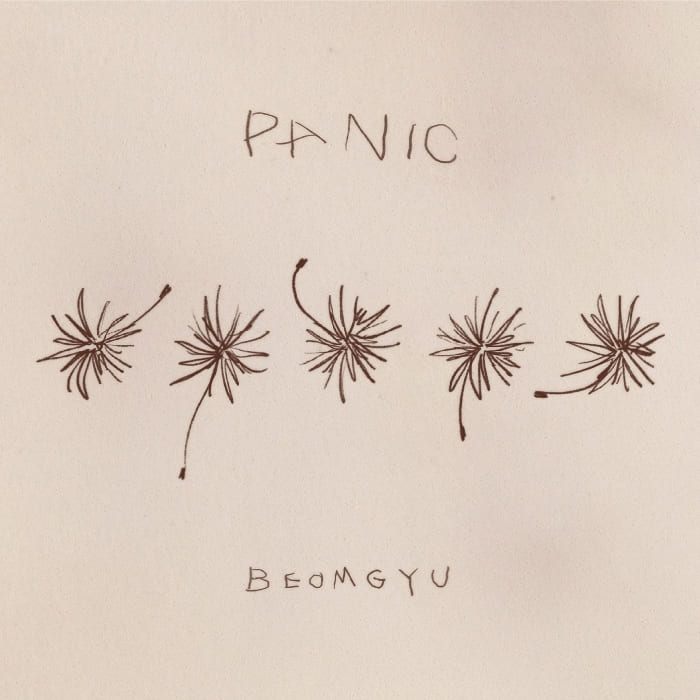 Бомгю BEOMGYU 범규 TXT Panic