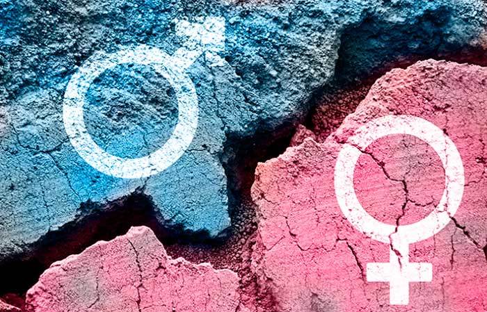 Gender segregation Гендерная сегрегация Южная Корея Gender segregation Гендерная сегрегация Южная Корея