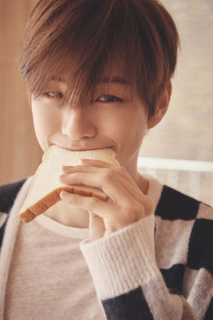 Кан Даниэль Kang Daniel 강다니엘 WANNA ONE 워너원 The Story