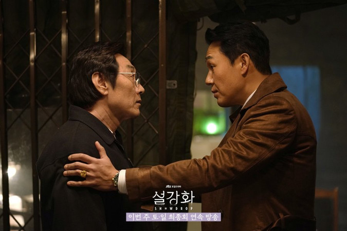 Подснежник Snowdrop Sul Kang Hwa 설강화 Seolganghwa